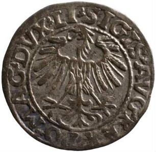 Münze, Kwartnik, 1557