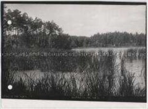 Moritzburg, Mittelteich