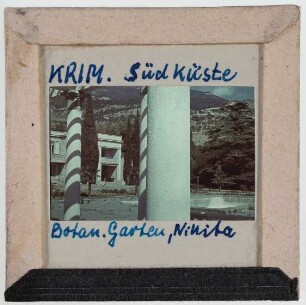 Krim: Nikita, Botanischer Garten (Foto 1942/43)