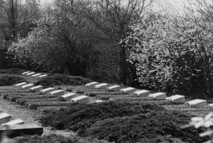 Tröbitz. Jüdischer Friedhof. Grabmale der Toten des "Verlorenen Zuges"