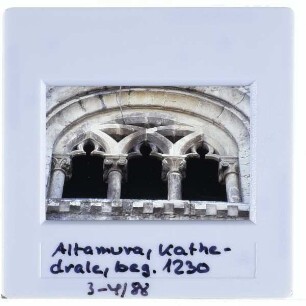 Altamura, Dom S. Maria Assunta : Nördliche Langhausfassade, Trifore
