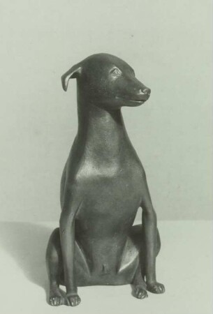 Hund