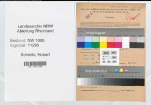 Entnazifizierung Hubert Schmitz, geb. 27.02.1899 (Postsekretaer)