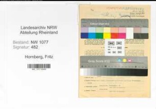 Entnazifizierung Fritz Hornberg , geb. 14.10.1898 (Angestellter)