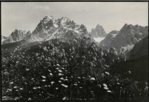 Blick auf die Sextener Dolomiten