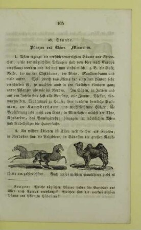 48. Stunde. Pflanzen und Thiere. Mineralien
