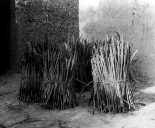 Kolbenhirse-Bündel