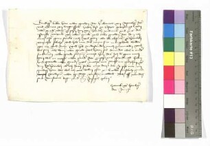Horneck von Hornberg an (Pfalzgraf)?