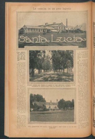 Santa Lucía : La cosecha de un gran ingenio