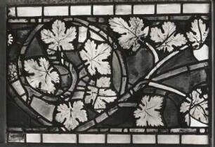 Erfurt. Barfüßerkirche. Chor. Farbige Glasfenster (nach der Restaurierung 1960). Ostfenster, Mittelbahn, Zeile 13: Gotische Ornamentscheibe. Weinranke mit Blättern und Traube (um 1316)