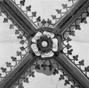 Rosette