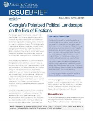 Georgia’s polarized political landscape on the eve of elections
