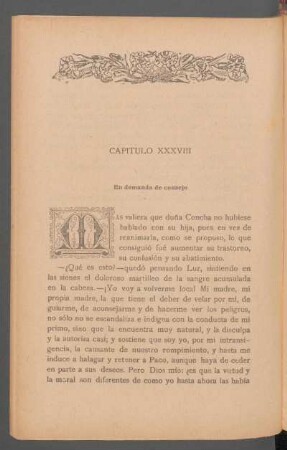 Capítulo XXXVIII - En demanda de consejo