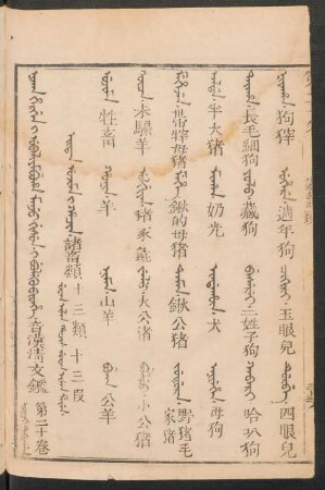 Orici debtelin = 第二十卷