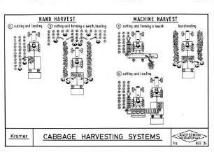 Cabbage Harvesting Systems