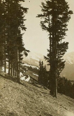 Kitzbüheler Alpen. Blick von der Hütte "Alpenrose" bei Westendorf nach Südwesten ins Tal der Windauer Ache