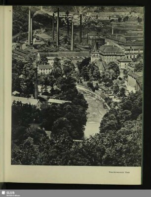 12 Eisenhüttenwerk Thale