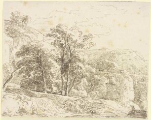 Baumgruppe in gebirgiger Landschaft