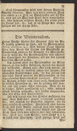 Die Weintrauben