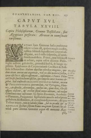 Caput XVI. Tabula XXVIII.