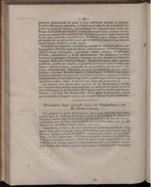 Description d´une nouvelle espèce de Fimbrillaria;