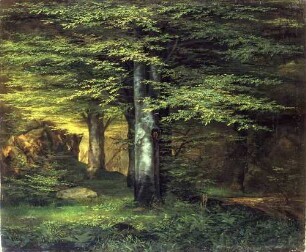 Waldinneres