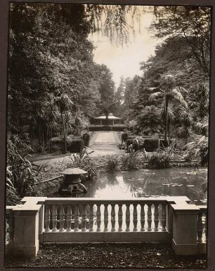 Fotoalbum: Deutsche Gartenbau- und Schlesische Gewerbe-Ausstellung (GUGALI), Liegnitz: Heizbarer Teich und Palmenhain, Abschnitt 2