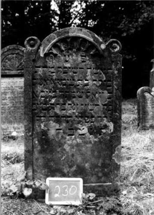 Grabstein 230 [Nir S. 138 Nr. 14.06]