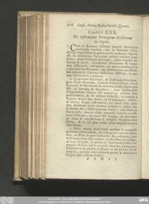 Caput XXX. De institutione Principum Electorum in linguis.