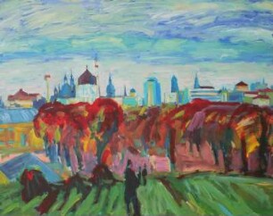 Dresden Blick vom Trümmerberg Friedrichstadt II