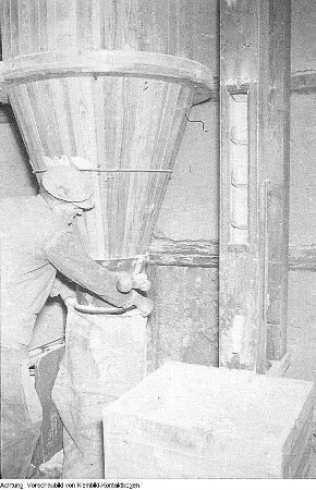 Gartenbau und Landwirtschaft. Dresden, Pillnitz. Versuchsanstalt? Mimosen / Getreidemühle / Viehhaltung u.a., September 1956 - Mai 1957