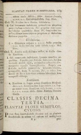 Classis Decima Tertia. Plantae Flore Semiflosculoso.