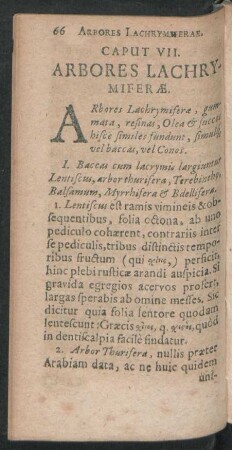 Caput VII. Arbores Lachrymiferae.