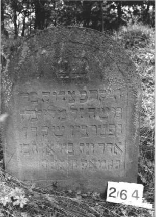 Grabstein 264