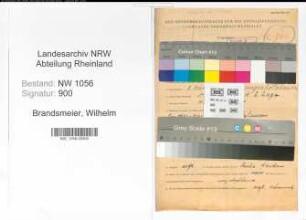 Entnazifizierung Wilhelm Brandsmeier , geb. 08.03.1898 (Angestellter)