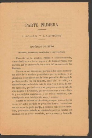 Parte primera - Luchas y lágrimas - Capítulo primero : Misterios, encuentros, cuchilladas y equivocaciones