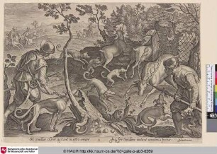 [Deer hunt with nets and robe snares; Hirschjagd mit Netzen und Seilfallen]