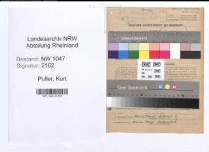 Entnazifizierung Kurt Puller , geb. 15.03.1900 (Ingenieur)