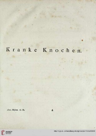 Kranke Knochen