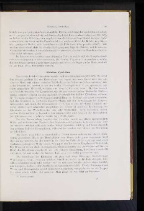 Kleinhirn, Cerebellum.