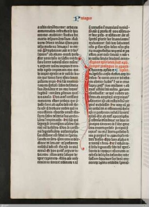 Apocalypsis Iohannis Apostoli [Offenbarung des Johannes]