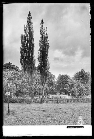 Dresden bei Pillnitz