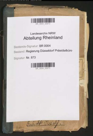 Politische Vereine, Wahlvereine, Parteien, nationalpolnische Bewegung Bd. 8