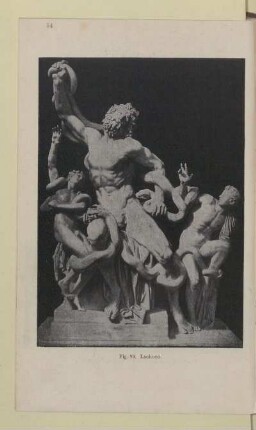 Fig. 99. Laokoon