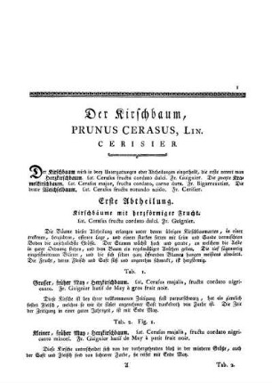 Der Kirschbaum, Prunus Cerasus, Lin. Cerisier