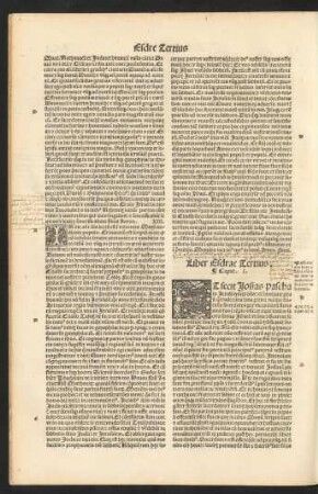 Liber Esdrae Tertius.