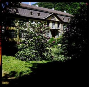 Freiburg, Ebnet: Schloss, Vordergrund Rhododendron