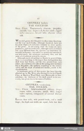 Gryphaea bullata. Tab. CCCL XVIII