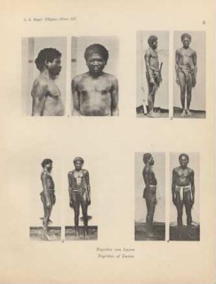 5. Negritos von Luzon = Negritos of Luzon