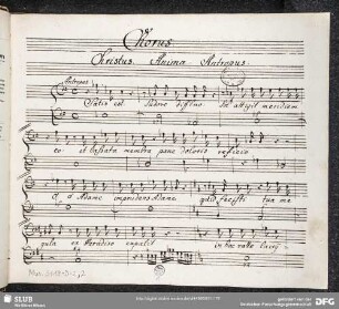 Chorus: Satis est sudore diffluo